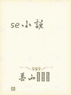 se小说
