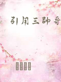 引用三帅哥