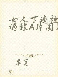 女人下边被添全过程A片图片小说