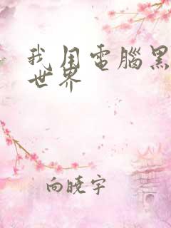 我用电脑黑了全世界