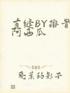 有缝BY排骨吃阿西瓜