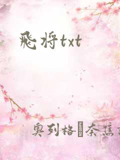 飞将txt
