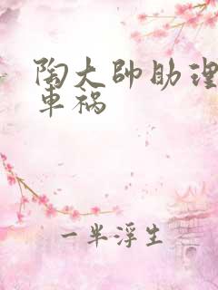 陶大帅助理子豪车祸