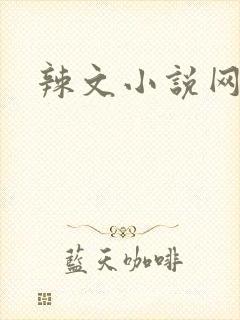 辣文小说网