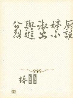 公与淑婷厨房猛烈进出小说