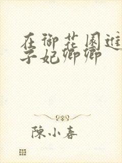 在御花园进入太子妃卿卿