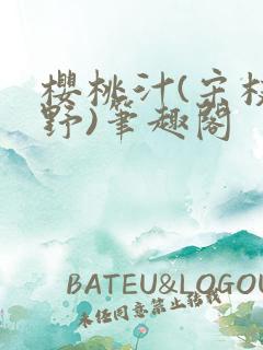 樱桃汁(宋枝江野)笔趣阁