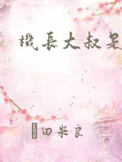 机长大叔是饿狼