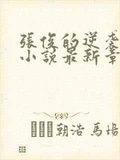 张俊的逆袭之路小说最新章节