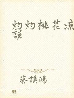 灼灼桃花凉 小说