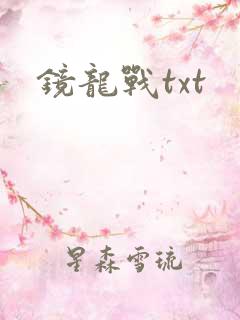 镜龙战txt