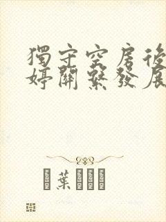 独守空房后与姜婷关系发展