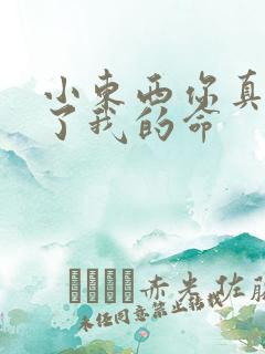 小东西你真能要了我的命