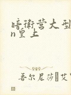 暗卫营大型hpn皇上