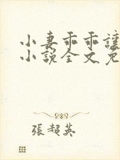 小妻乖乖让我宠小说全文免费阅读