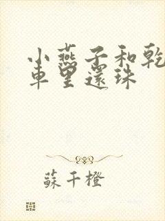 小燕子和乾隆在车里还珠