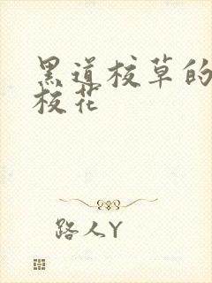 黑道校草的黑道校花