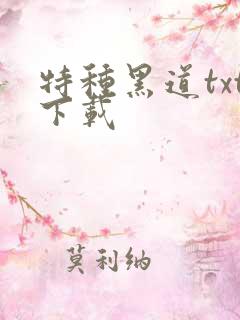 特种黑道txt下载