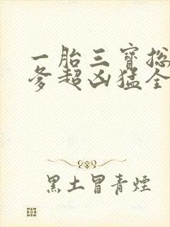 一胎三宝总裁爹爹超凶猛全文免费阅读