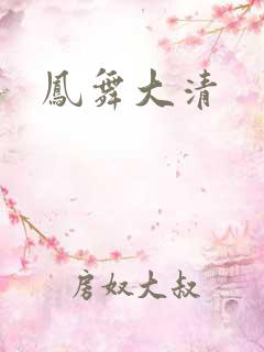 凤舞大清