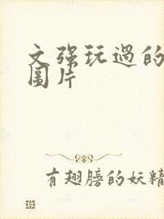 文强玩过的女人图片