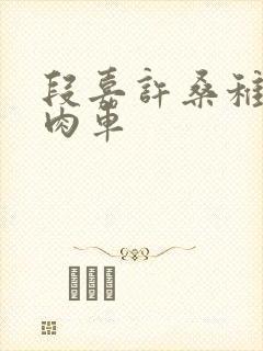 段嘉许桑稚浴室肉车