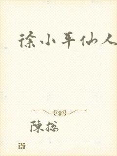 徐小平仙人指路