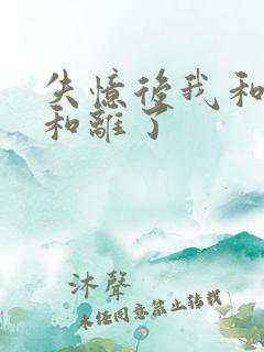 失忆后我和王爷和离了