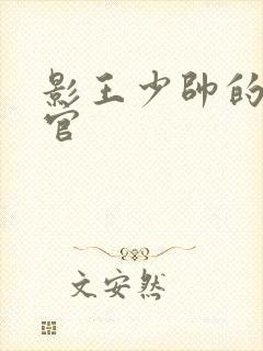 影王少帅的女长官