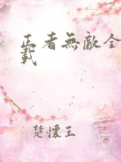 正者无敌全集下载