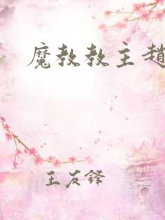 魔教教主赵小猫