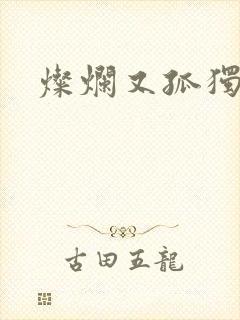 灿烂又孤独的神