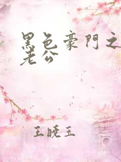 黑色豪门之王子老公