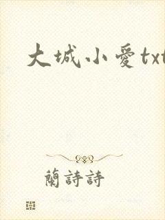 大城小爱txt