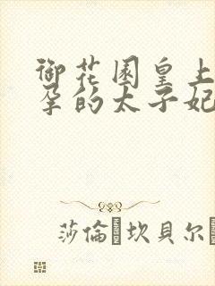 御花园皇上c有孕的太子妃