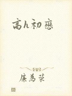高h初恋