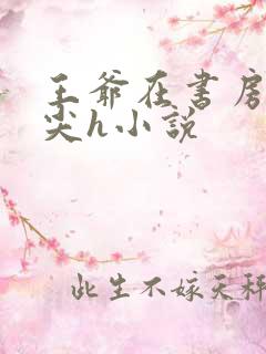 王爷在书房含乳尖h小说