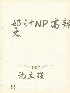 奶汁NP高辣H文