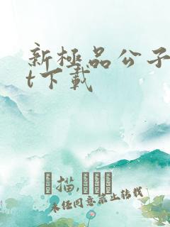 新极品公子txt下载