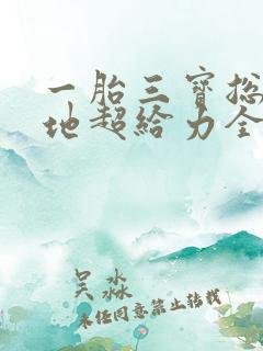 一胎三宝总裁爹地超给力全文免费阅读