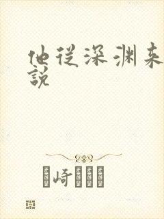 他从深渊来 小说