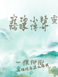 宠物小精灵之写轮眼传奇