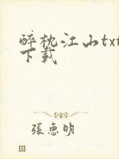 醉枕江山txt下载