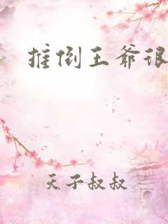 推倒王爷很重要