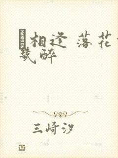 囍相逢 落花能几醉