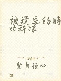 被遗忘的时光txt新浪