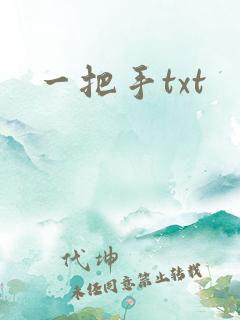 一把手txt