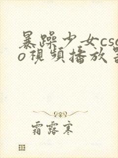 暴躁少女csgo视频播放器推荐