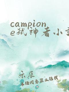 campione弑神者小说