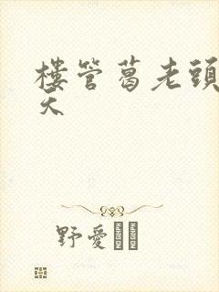 楼管葛老头的春天